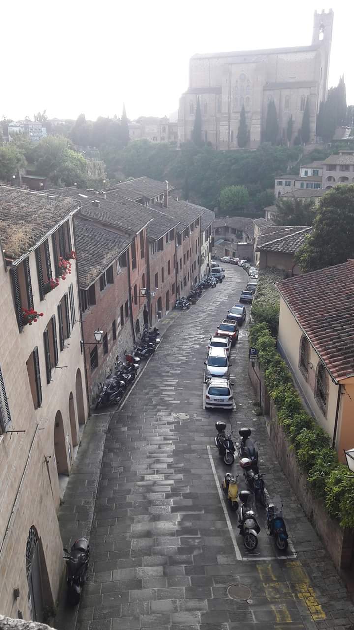 Siena