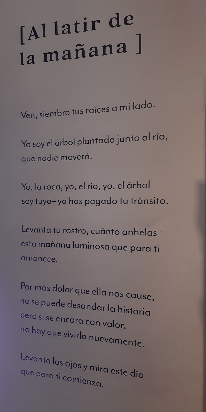 Exposicion de Memoria Fotográfica; El Testigo