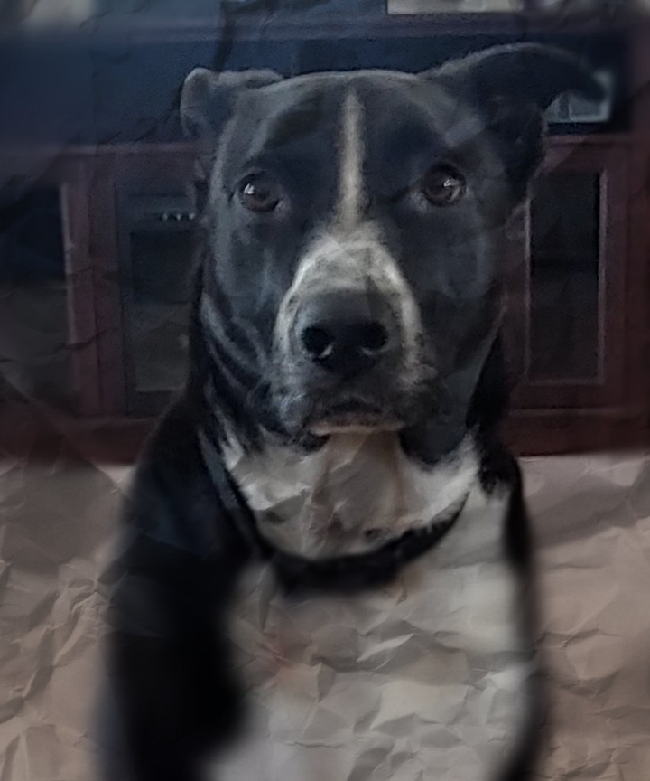 best friend