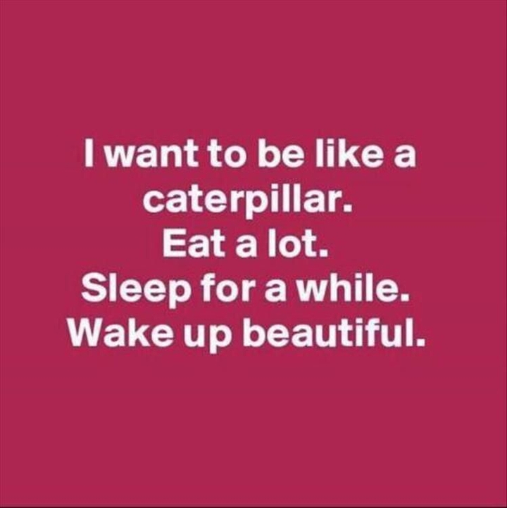 I WISH THIS WAS TRUE