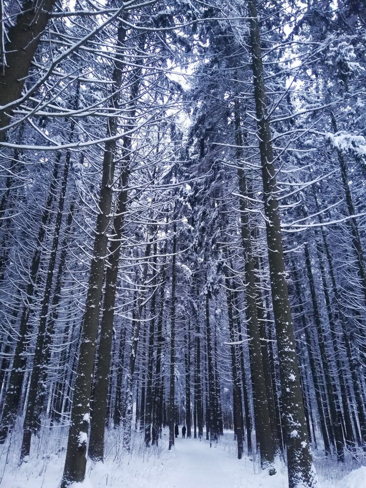 Winter is coming