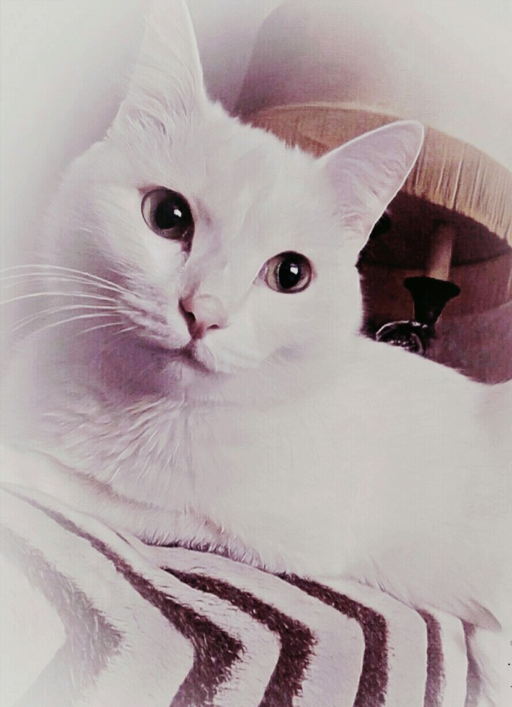 Жду.Скучаю.