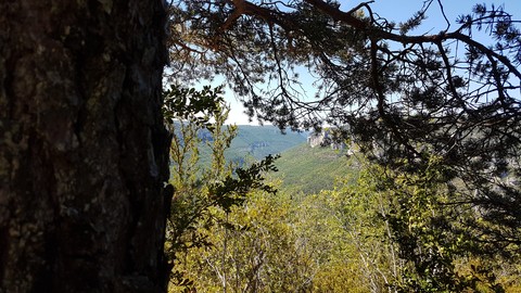 Landscape in France
