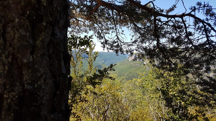 Landscape in France