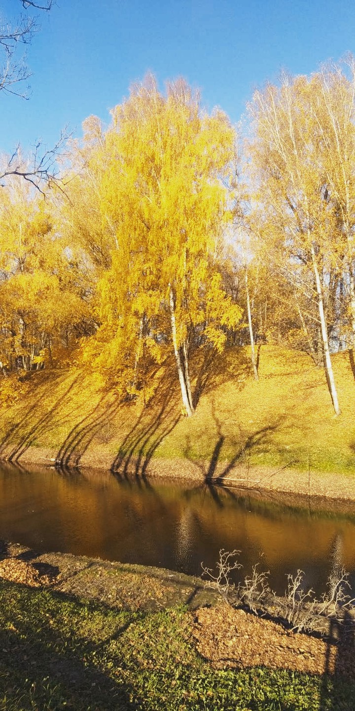 осень