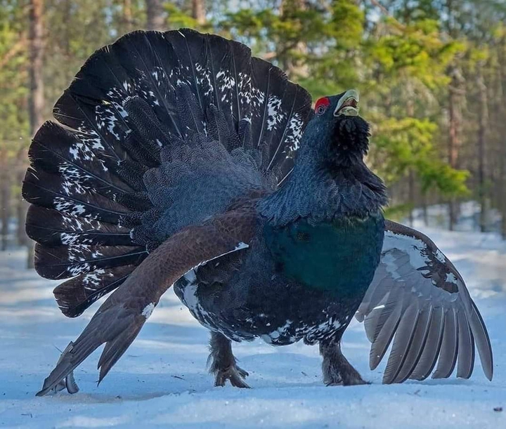 КРАСИВО ИЗ ЖИЗНИ