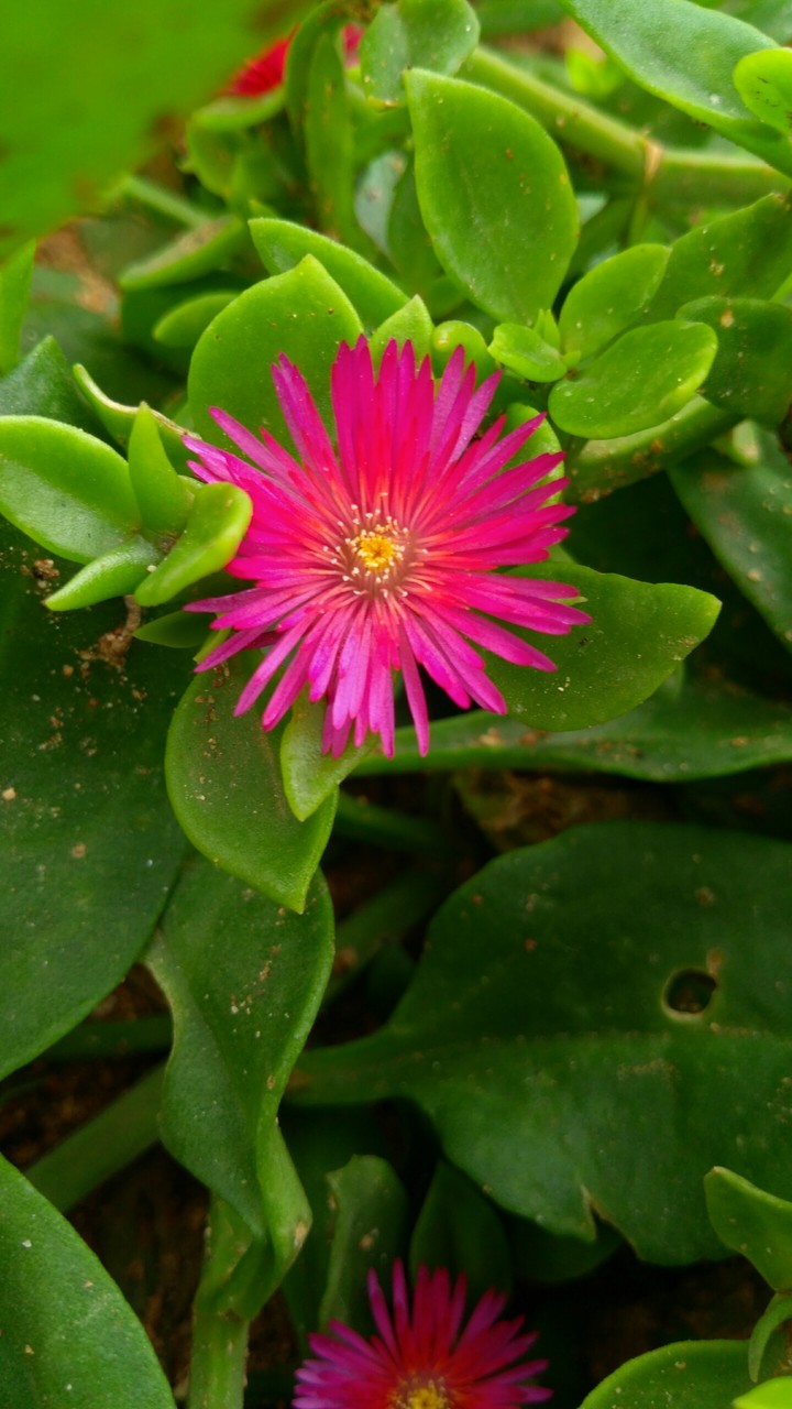 nature
