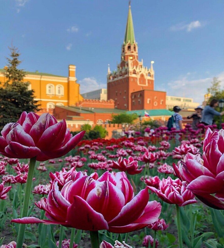Александровский сад