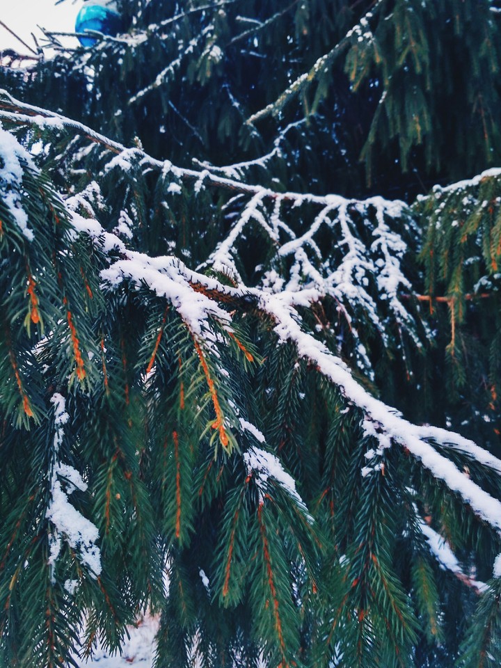 snow