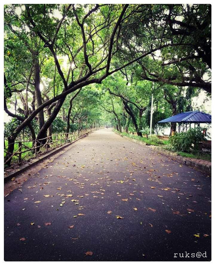 kolkata lake