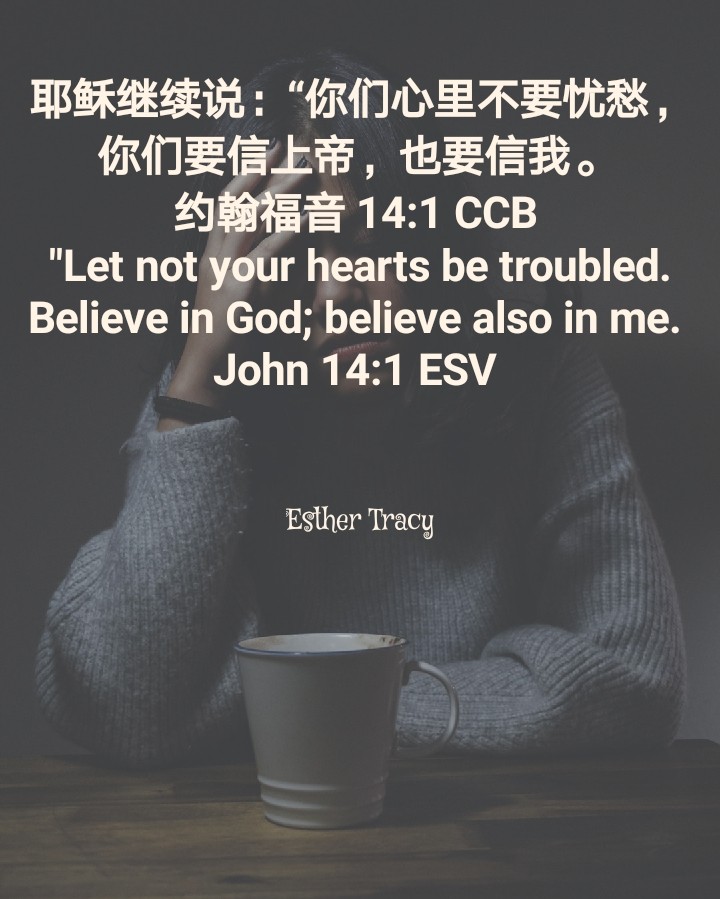 let not your hearts be troubled