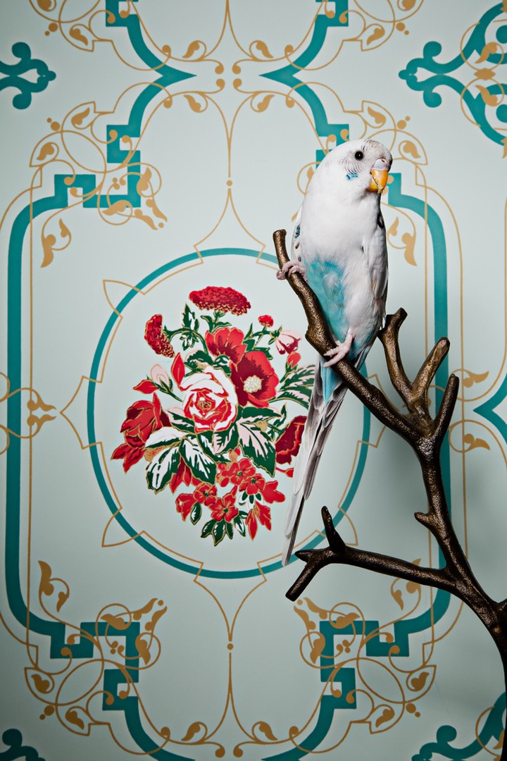 Mint bird