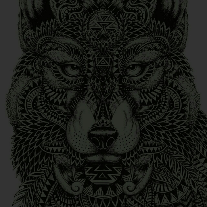 black wolf