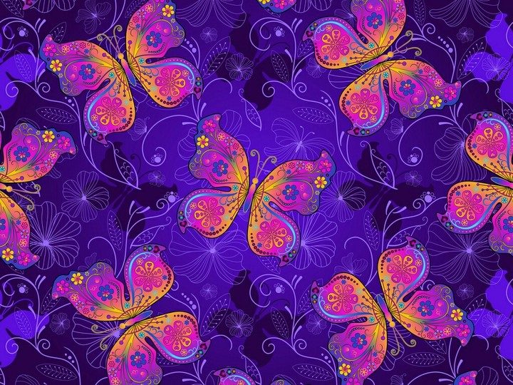 butterfly pattern
