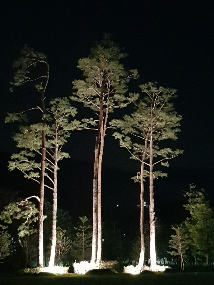 경주