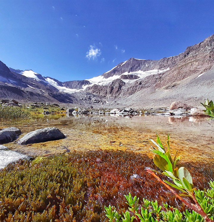 feel the Alps