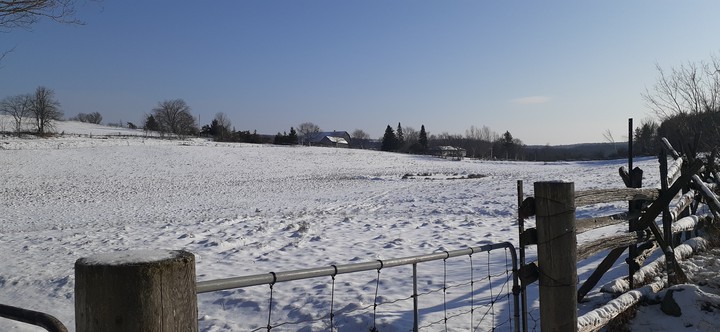 Snowy Fields