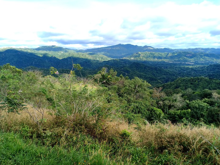 mountains