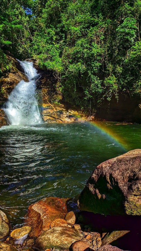 fondos de pantalla Water, spring