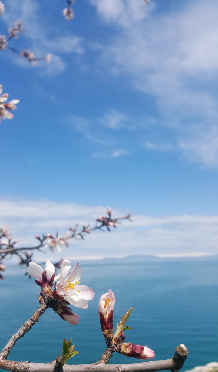 beautiful day