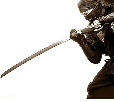 ninja