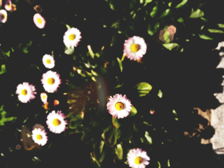 nature