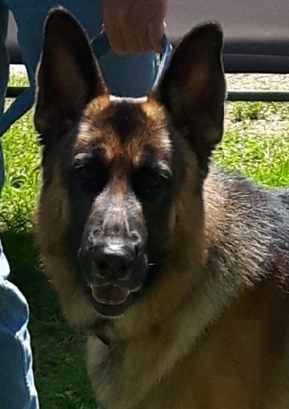 Sultan