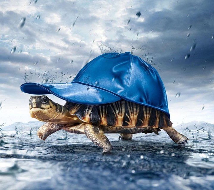 so cute with Rain
