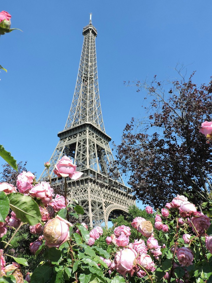 Summer in Paris 