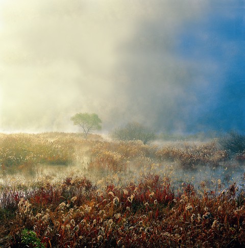 Fall Images