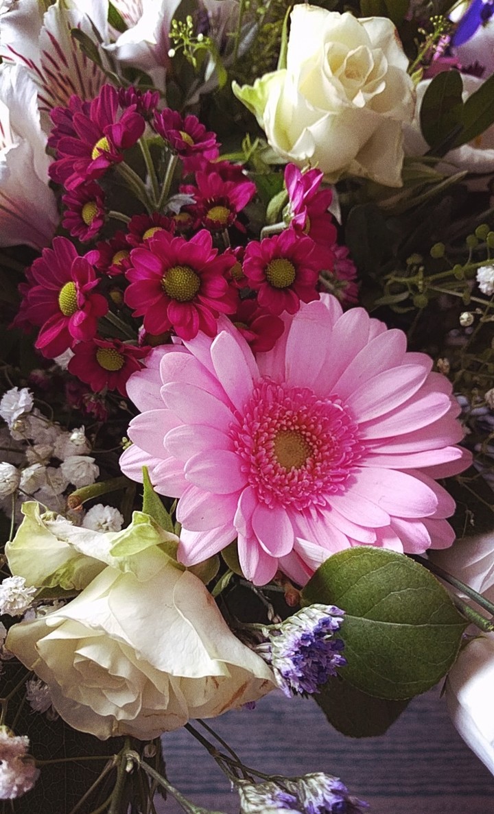Mix de flores