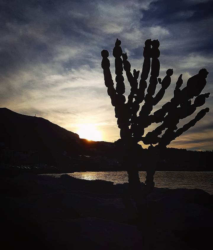 Felix sunset
