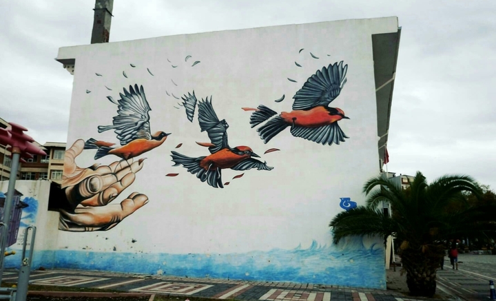 Freedom 