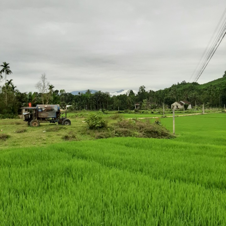my hometown is simple and rustic?️