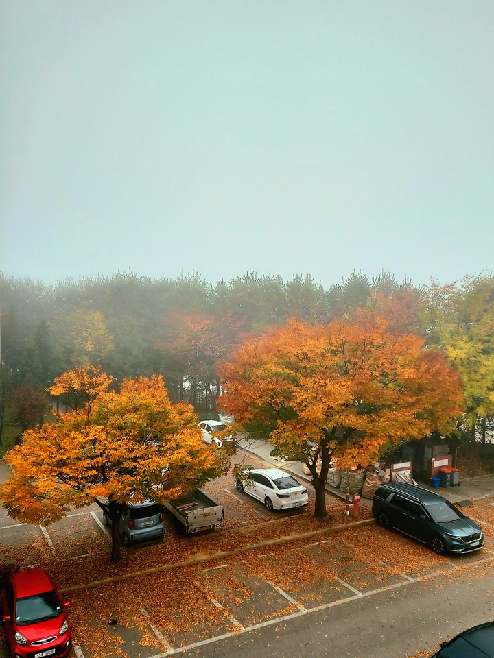 a foggy morning in the parking lot