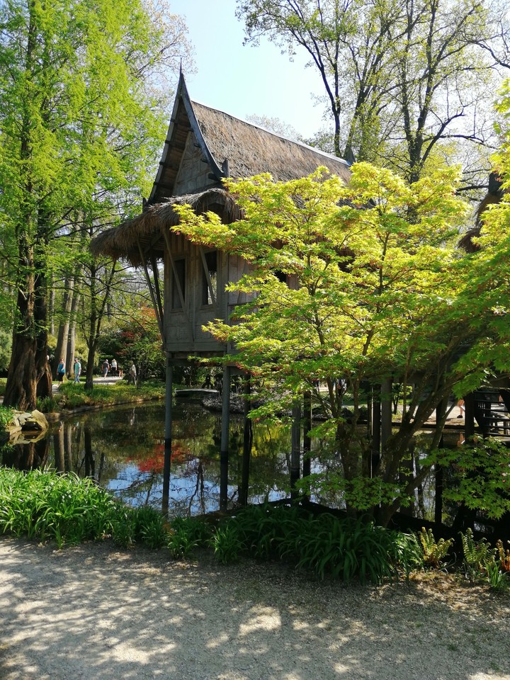 oosterse tuin