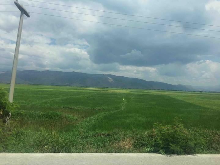 land