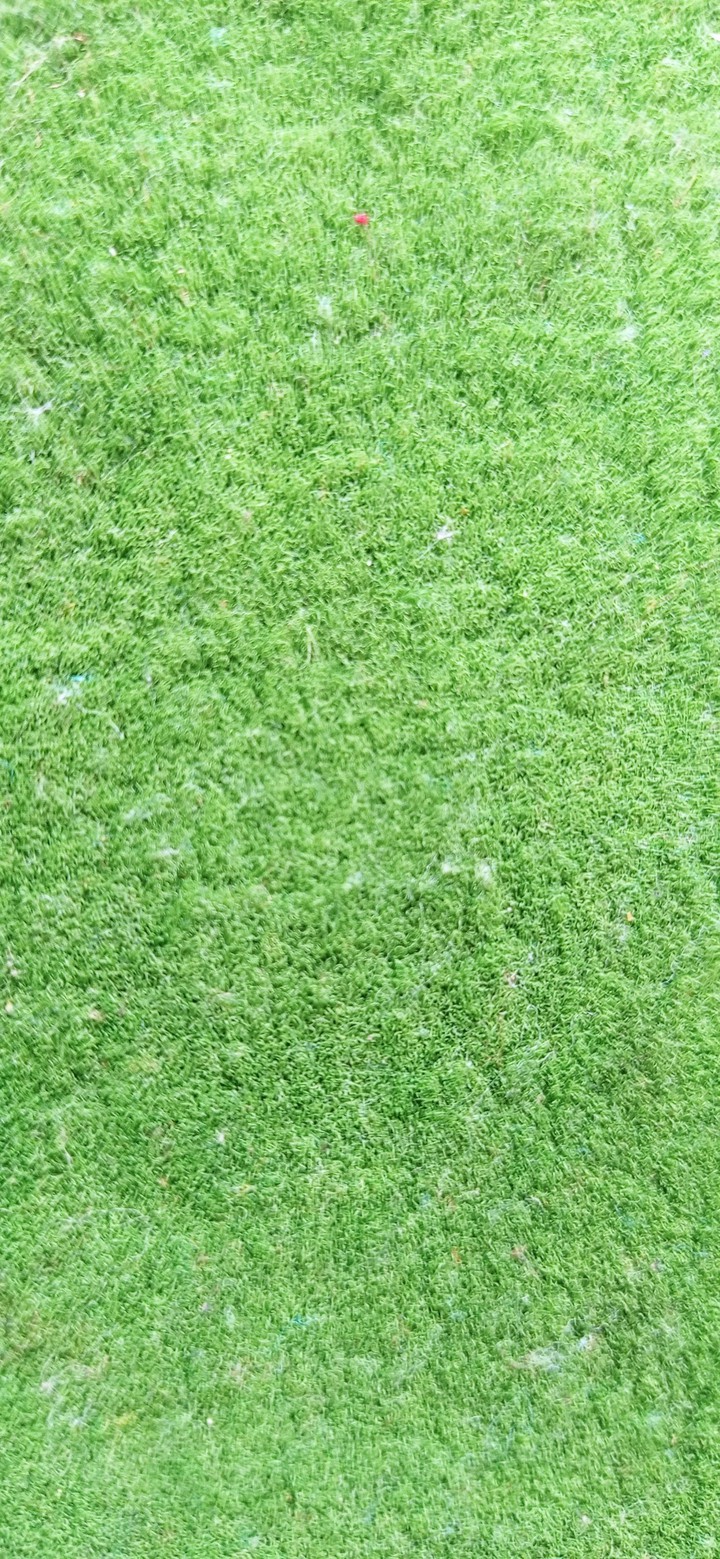 carpet