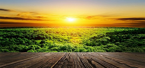 sunlight, morning wallpapers