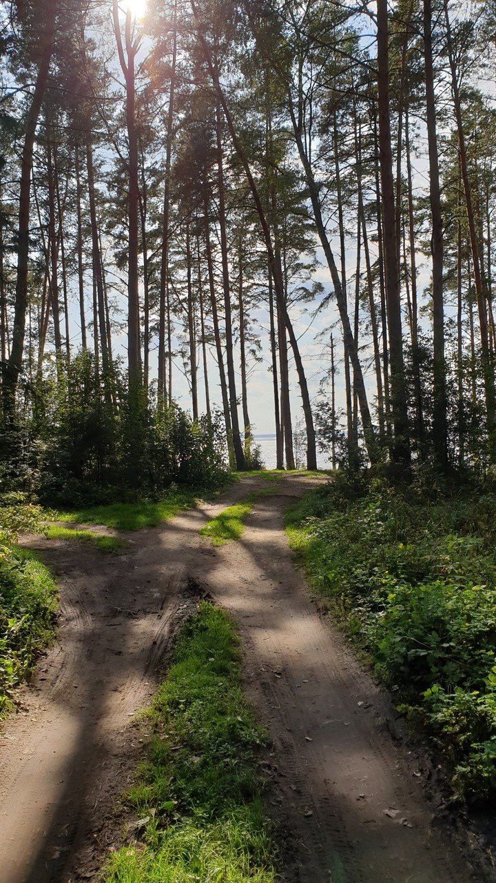 дорога в рай