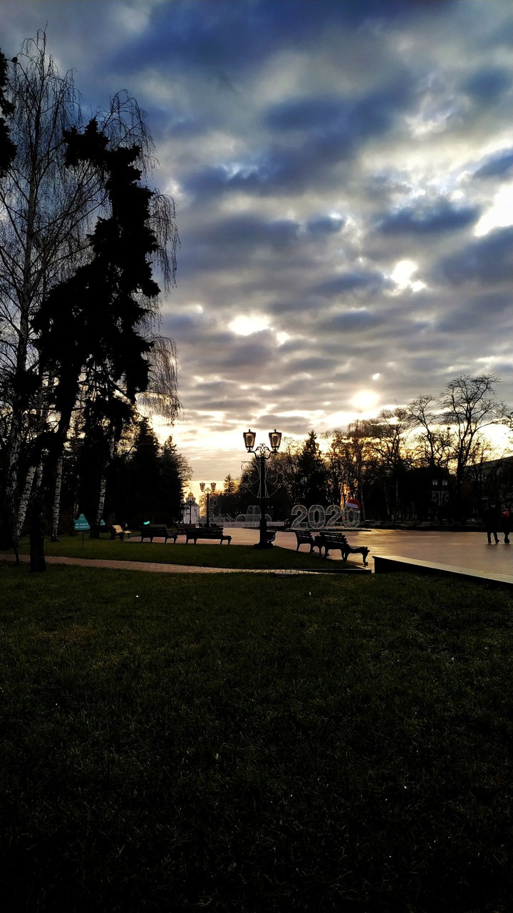 winter without snow
