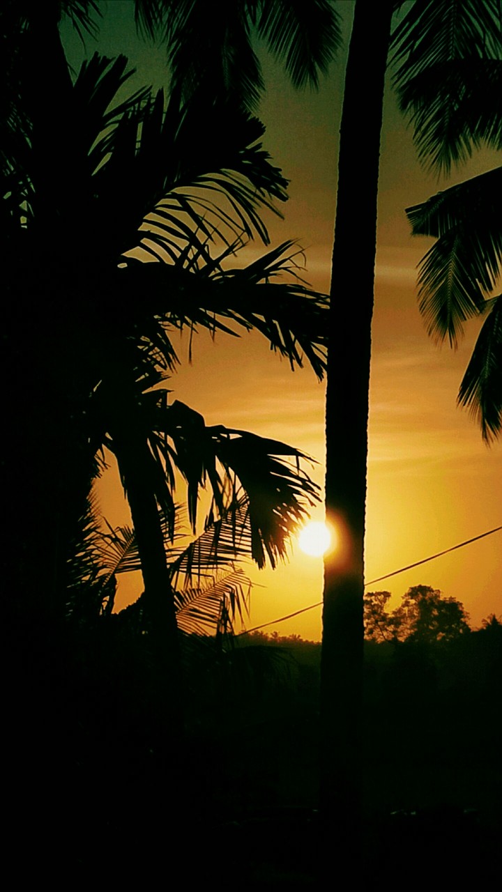 sun set
