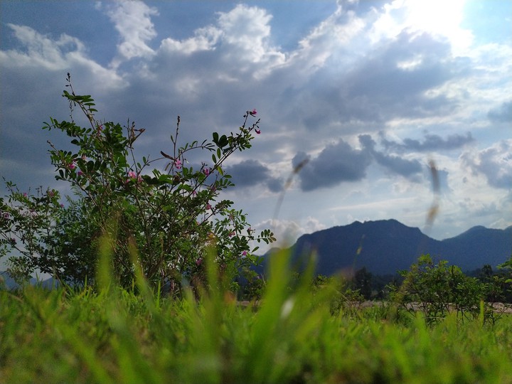 mountains