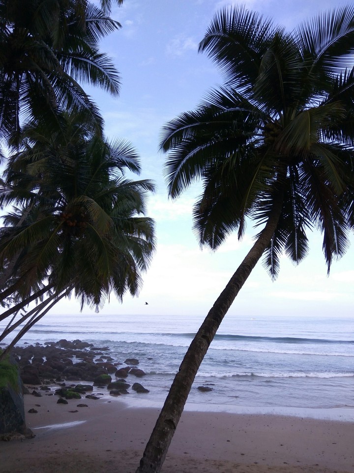 beach