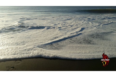 Olas bravas