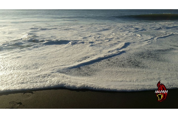 Olas bravas
