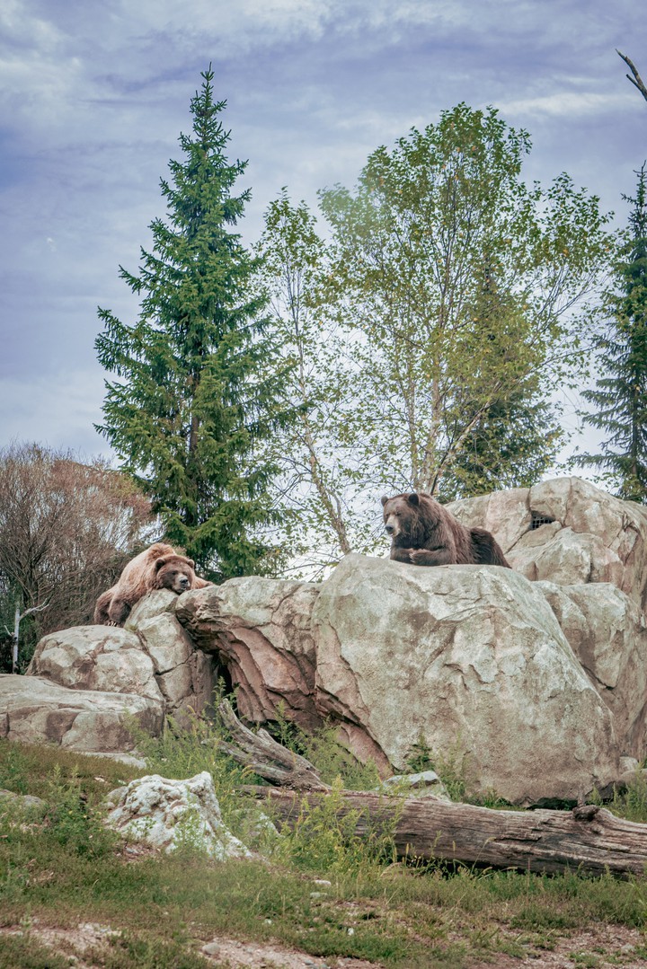 Minnesota Zoo