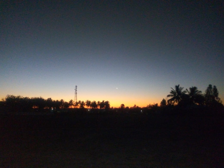 Morning Beauty