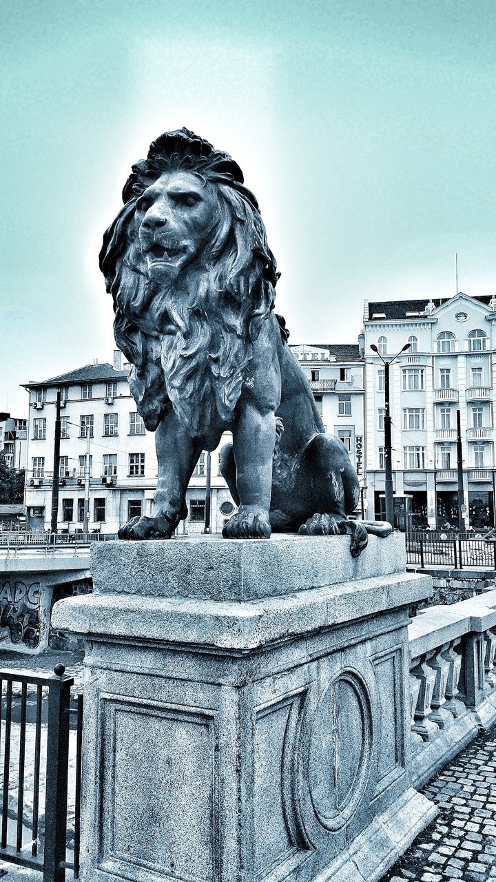 Sofia