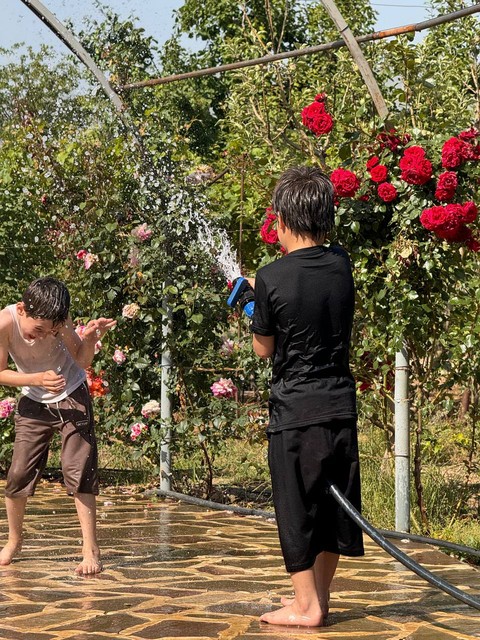 ταπετσαρίες gardening, shrub